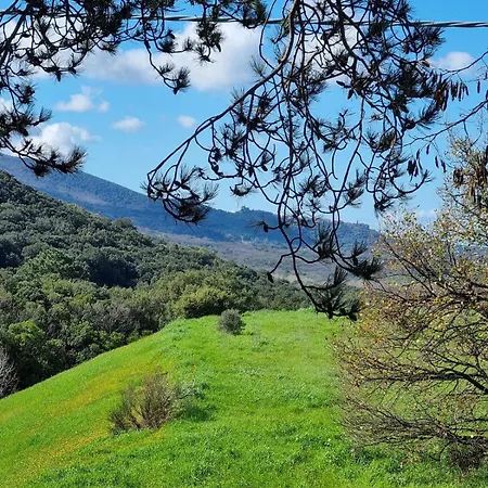 House Cesari Panoramic Gavorrano