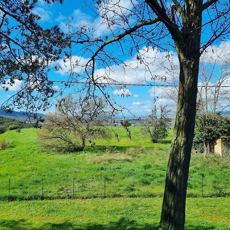 House Cesari Panoramic *